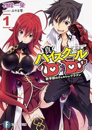 Amazon.co.jp: ハイスクールD×D 11 (ドラゴンコミックスエイジ) : 石踏